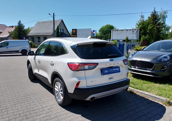 Ford Kuga cena 102000 przebieg: 65000, rok produkcji 2020 z Pniewy małe 172